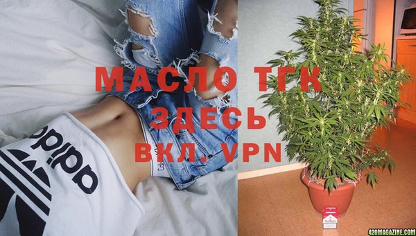 индика Дмитров