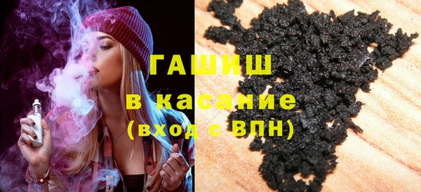 индика Дмитров