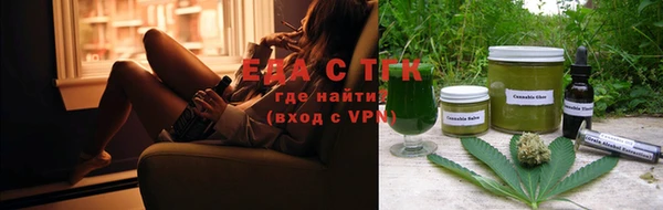 индика Дмитров