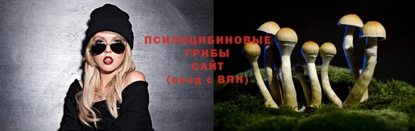 индика Дмитров