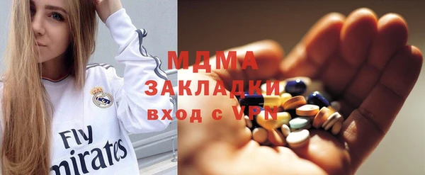 индика Дмитров