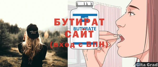 индика Дмитров