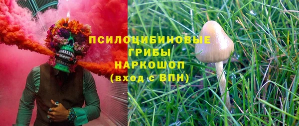 mdpv Дмитровск