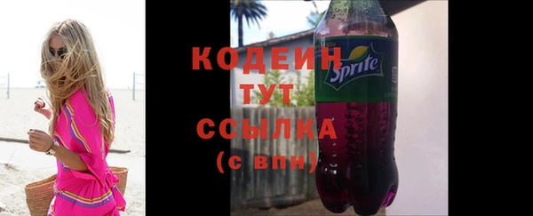 индика Дмитров