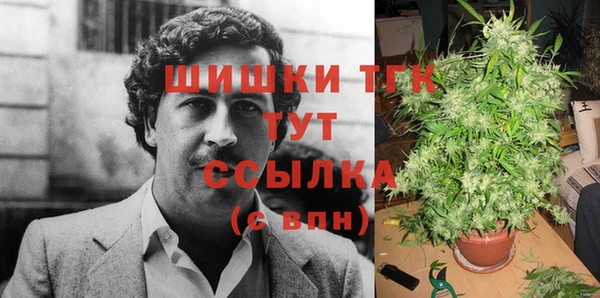 индика Дмитров