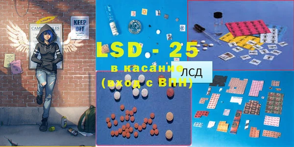 индика Дмитров