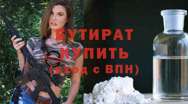индика Дмитров