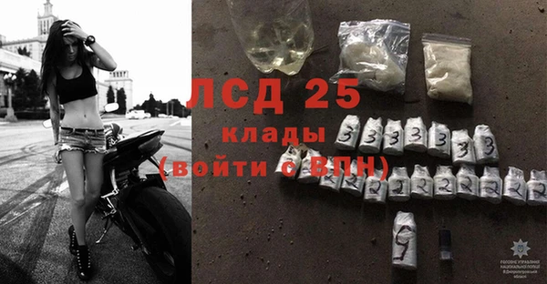 индика Дмитров
