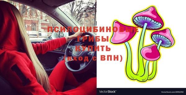 индика Дмитров
