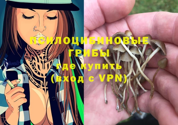 таблы Дмитриев