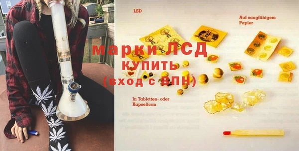 индика Дмитров