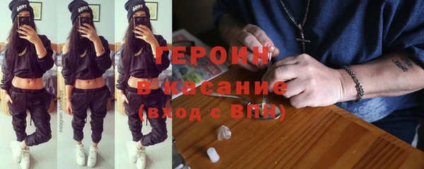 индика Дмитров